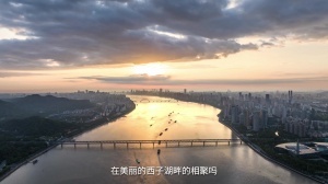 2026年杭州市钱潮杯国际青少年足球邀请赛(预选赛)开始啦!